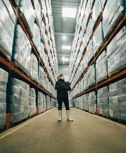 Maximizing Revenue on Amazon